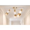 Lotus 3'lü Dekoratif Gold Kaplama & Krem Modern Avize & Aplik (GÜNIŞIĞI LED AMPULLER DAHİLDİR...)